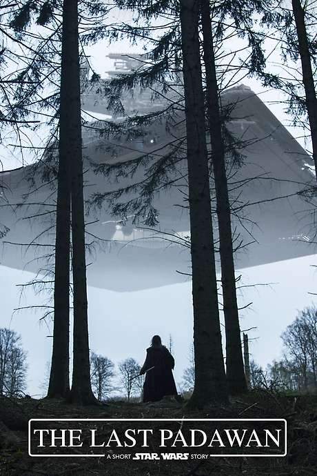 The Last Padawan: A Short Star Wars Story